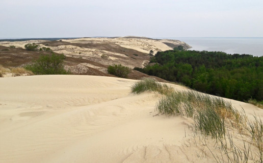 4_Lydumo ragas -foto S. Pru6inskienes.jpg